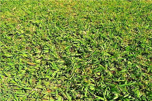xổ số miền nam thứ tư tuần trước