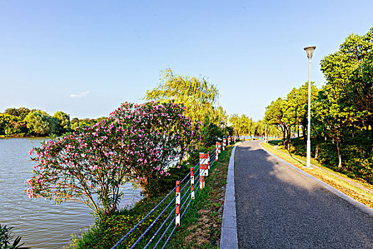 xổ số 366