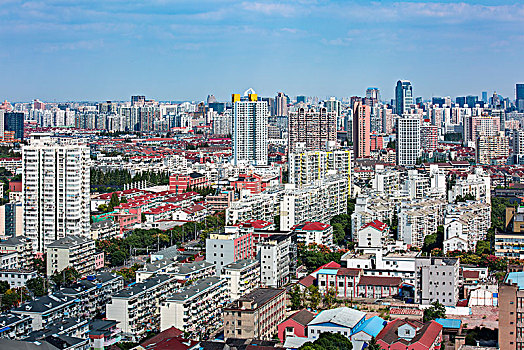 soi cau bach thu binh dinh
