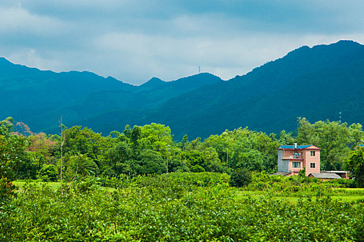 cách chơi loto188
