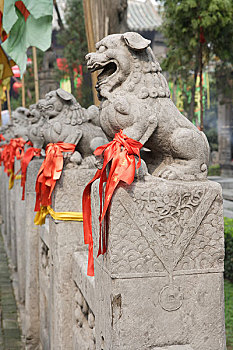 bạch thủ lo hôm nay