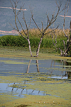 xổ số hôm qua