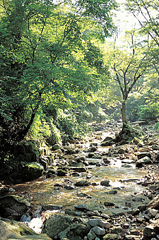 xổ số truyền thống