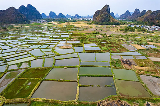 thống kê lô tô
