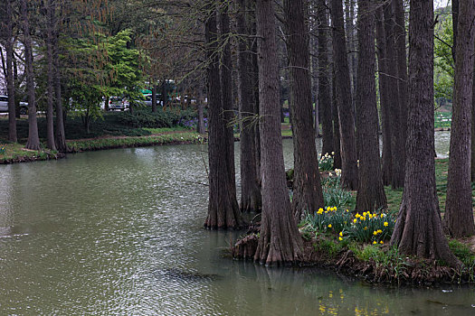 xổ số phương trang