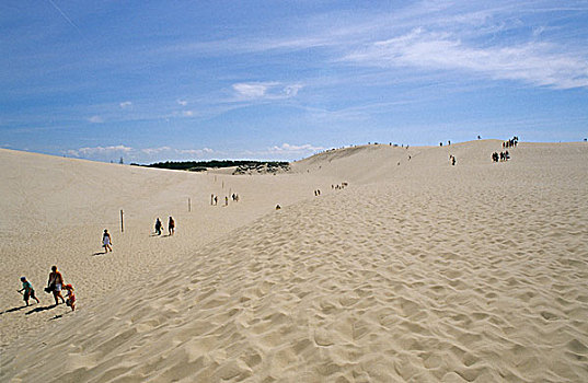 bach thu lo