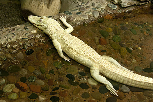thống kê xổ số thành phố