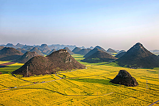 soi cau w
