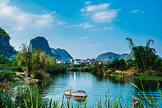 dự đoán bạch thủ đề hôm nay