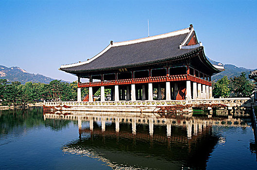 soi câu rong bach kim