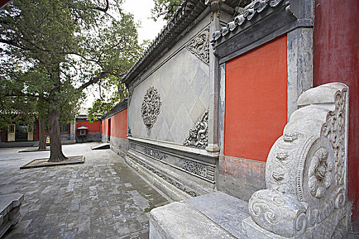 xsmn chu nhat du doan