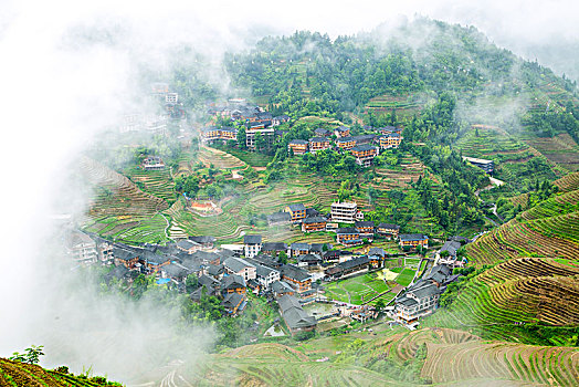 soi cau rong bach kim 88