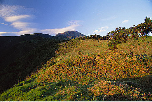 cầu bạch thủ hôm nay