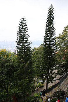chơi lô đề trên mạng