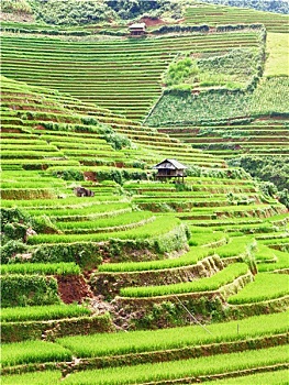 xs tien giang