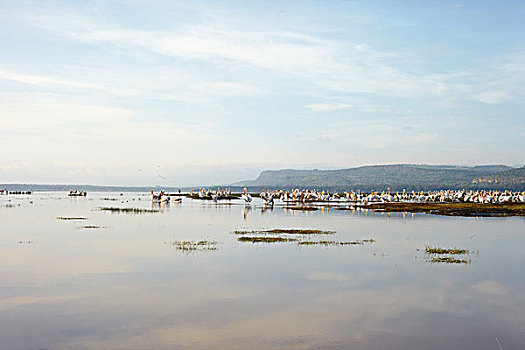 xskt tiền giang