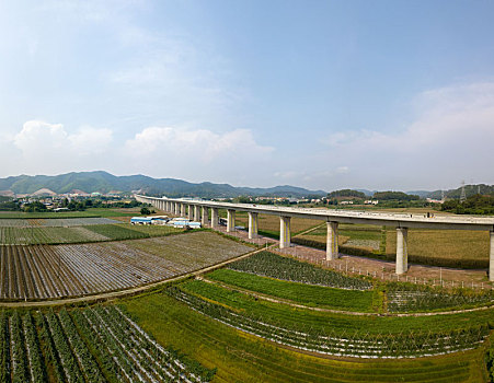số đồng tháp