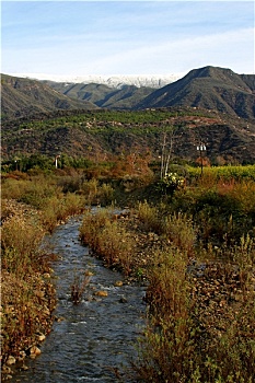 xs đài bắc