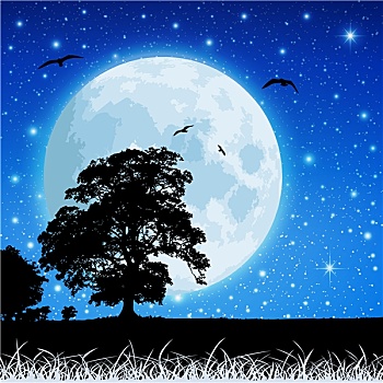 xskt đồng nai