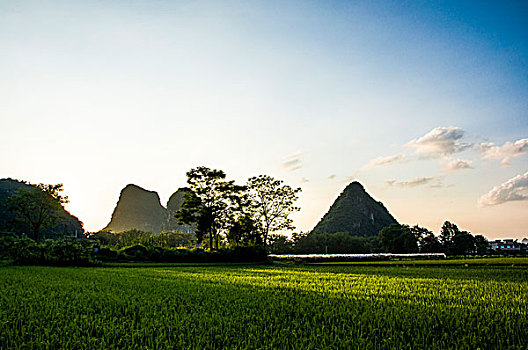 thống kê kết quả xsmb