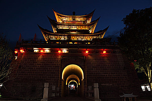 rong bạch kim 666