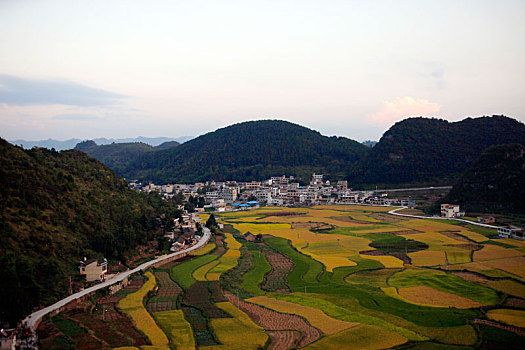 chốt số hàng ngày