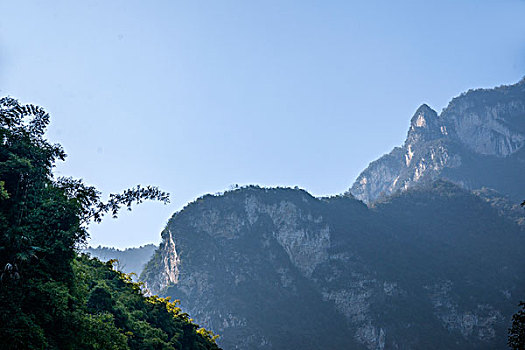 soicau lo