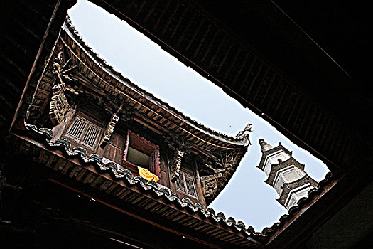 soi cau lo bach thu hom nay