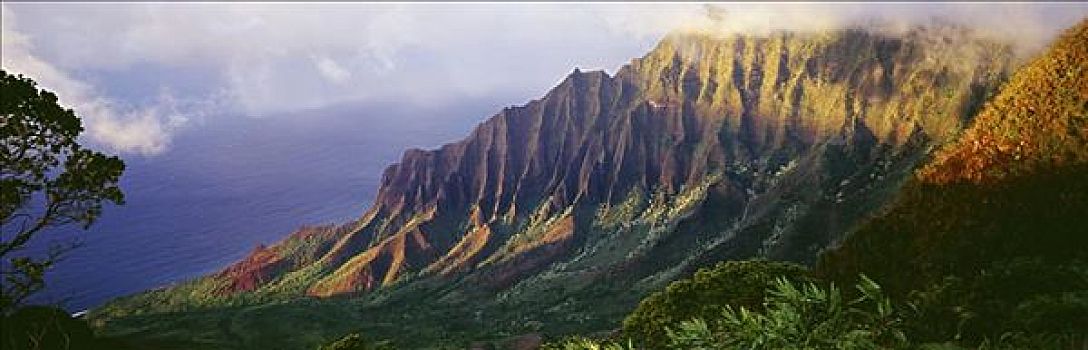 đề lô