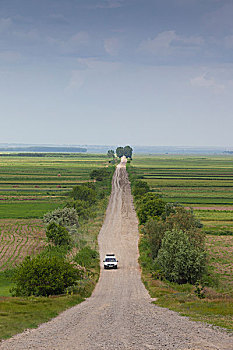 thống kê bạch thủ