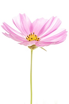 soi cầu 3 miền