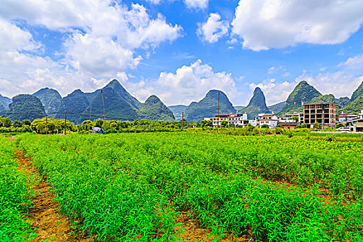 xổ số hậu giang tuần rồi