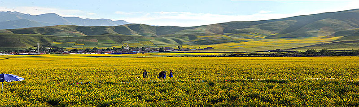 du doan chinh xac 100
