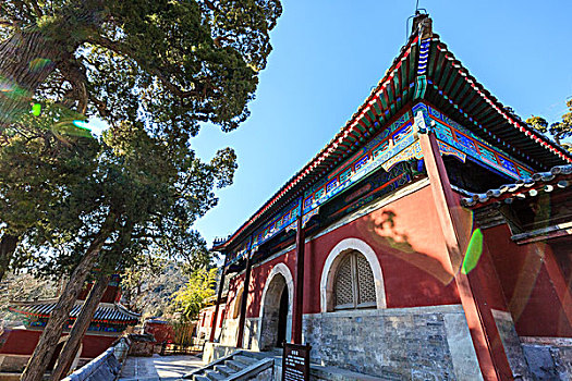 du đoan wap