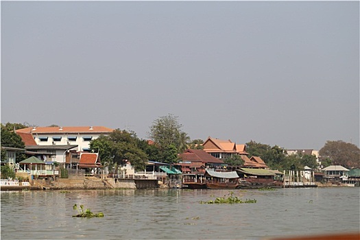 hom nay bach thu con gi