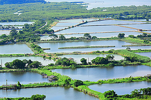 bạch thủ lô là giải mấy