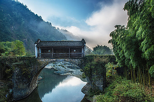 soi cau bach kim mien phi