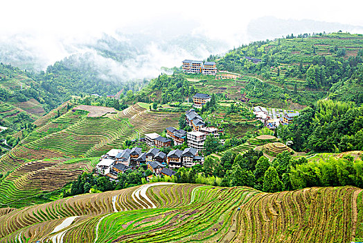 xs minh ngoc thu 7