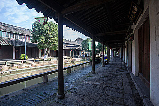 tuyet chieu soi cau