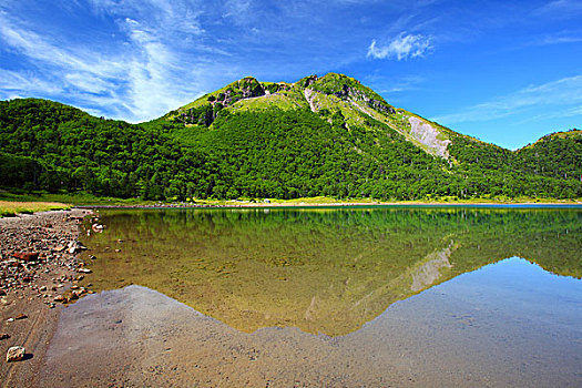 soi câu bach thu