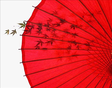 dự đoán xổ số miền bắc chính xác 100