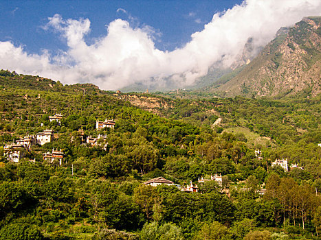 dàn đề miễn phí