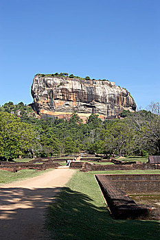 soi cau mien phi 888
