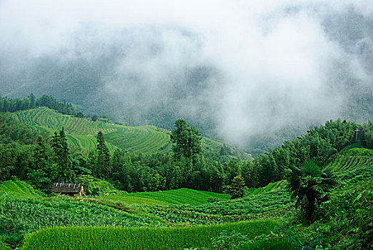 xo so thai binh