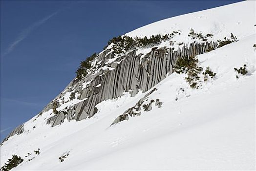 du doan rong bach kim