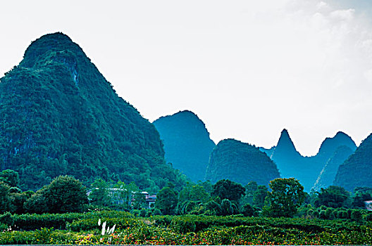 xổ số đồng tháp thành phố