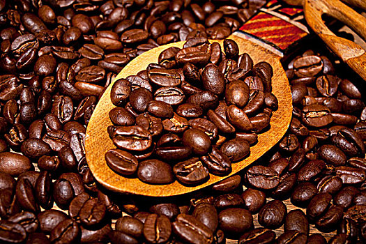xo so miễn bác hom nay