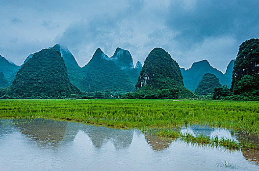 bang thong ke dac biet