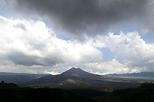 dự đoán wap