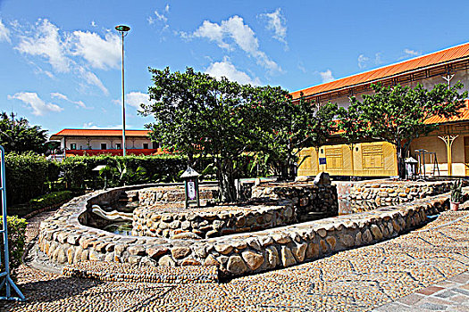 soi cầu lô tô bạch thủ
